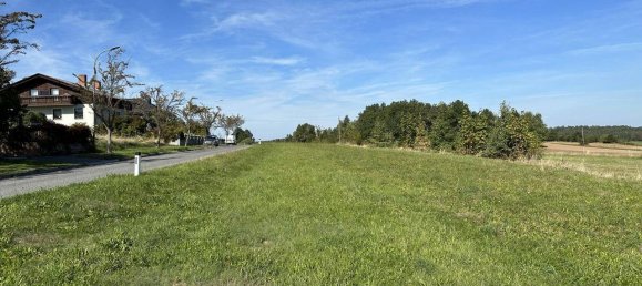 1275m² Land in Weitra, Austria No. 249260 2