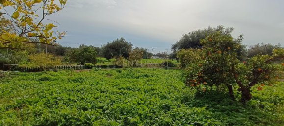 5 Schlafzimmer Haus in Loule, Portugal, Nr. 205462 22