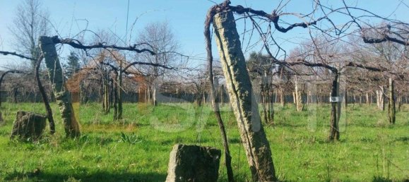 Grundstück in Bela, Portugal 3210m², Nr. 68271 13