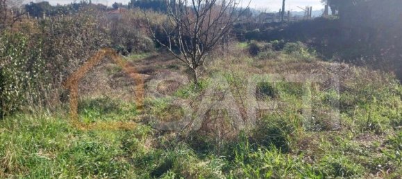 Grundstück in Bela, Portugal 3210m², Nr. 68271 21