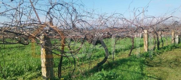 Grundstück in Bela, Portugal 3210m², Nr. 68271 15