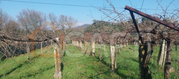 Grundstück in Bela, Portugal 3210m², Nr. 68271 16