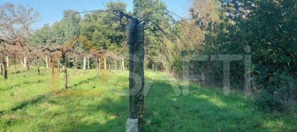 Grundstück in Bela, Portugal 3210m², Nr. 68271 18