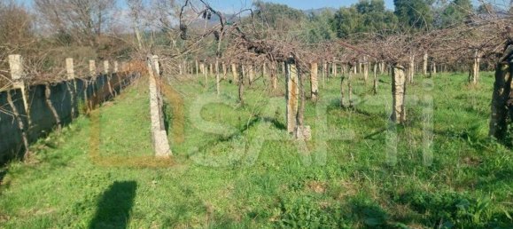 Grundstück in Bela, Portugal 3210m², Nr. 68271 14