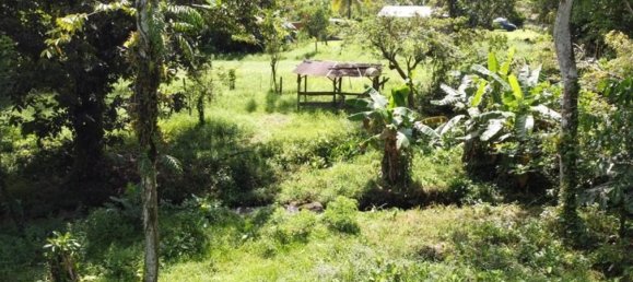 3 غرف نوم منزل في Cariari, Costa Rica رقم 461 3