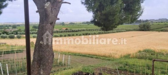 Terrain à Marino, Italy 11680m² No. 109453 19