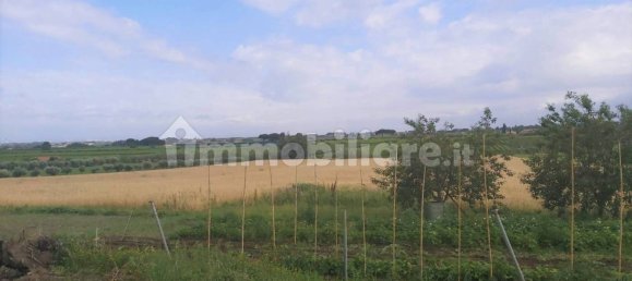 Terrain à Marino, Italy 11680m² No. 109453 18