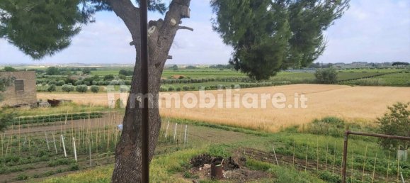 Terrain à Marino, Italy 11680m² No. 109453 11