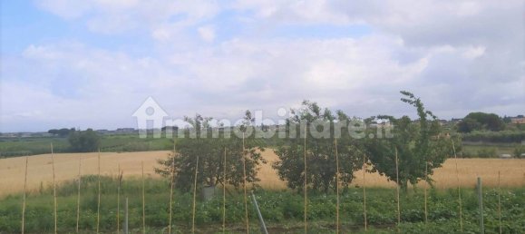 Terrain à Marino, Italy 11680m² No. 109453 8