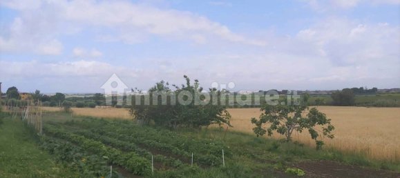 Terrain à Marino, Italy 11680m² No. 109453 12