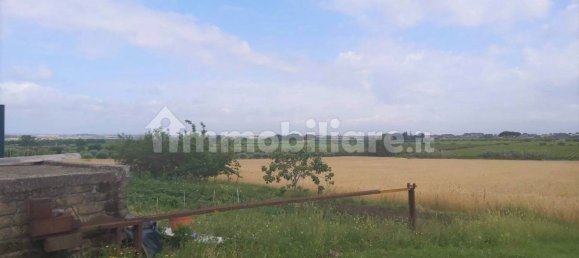 Terrain à Marino, Italy 11680m² No. 109453 6