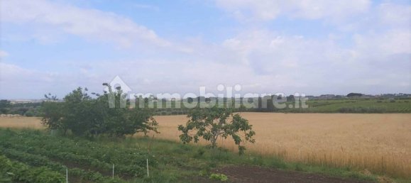 Terrain à Marino, Italy 11680m² No. 109453 2