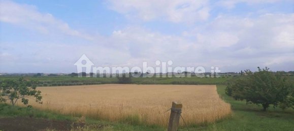 Terrain à Marino, Italy 11680m² No. 109453 16