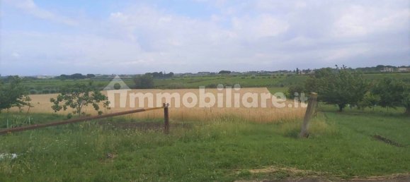 Terrain à Marino, Italy 11680m² No. 109453 14