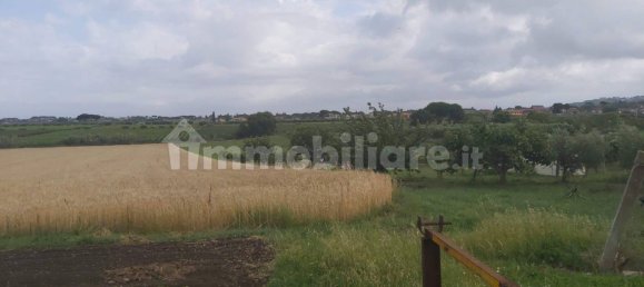 Terrain à Marino, Italy 11680m² No. 109453 4