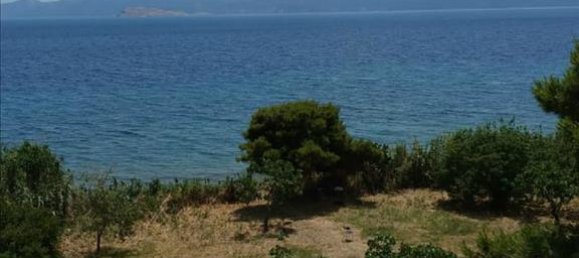 480m² Property in Agioi Theodoroi, Greece No. 4775 11