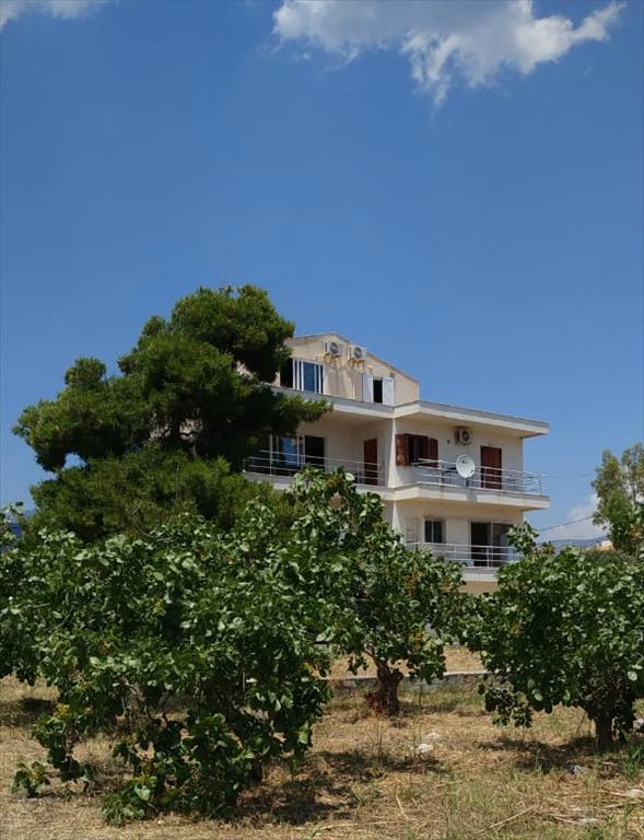 Мезонет 480м² в Айи-Теодори, Лутракион-Перахора-Айи-Теодори, Коринфия, Пелопоннес, Пелопоннес, Западная Греция и Ионические острова, Греция № 4775
