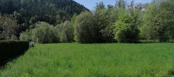  Land in Magdalensberg, Austria No. 164120 4