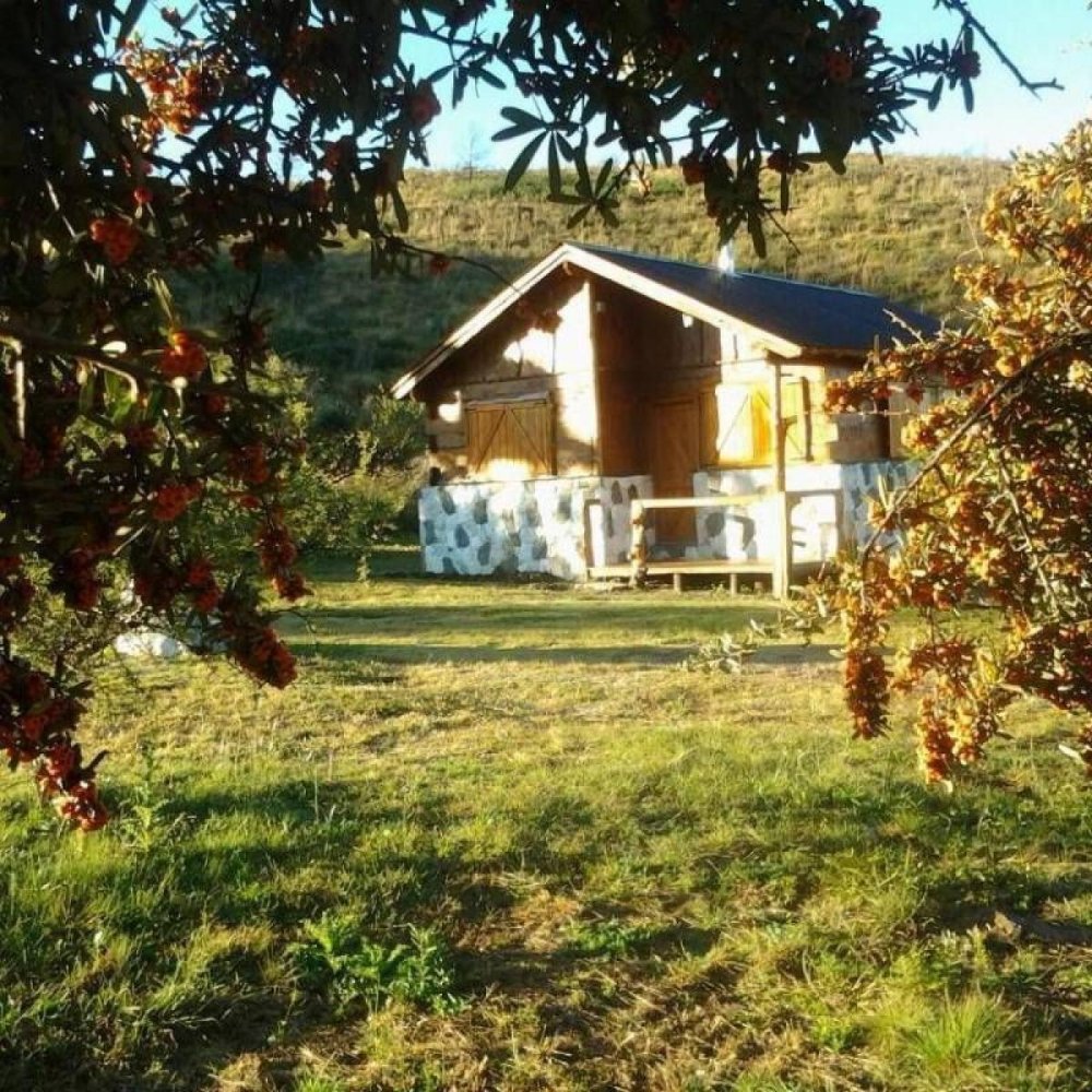 Gewerbliche Immobilie in Cordoba, Argentina 200m², Nr. 22846