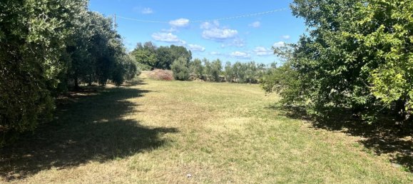 Gewerbliche Immobilie in Sant'Elpidio a Mare, Italy 120m², Nr. 306879 6