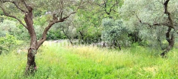 2 غرف نوم منزل في Spigno Saturnia, Italy رقم 346321 27