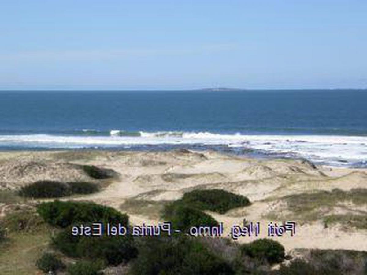 4 bedrooms Apartment in Punta del Este, Uruguay No. 3385