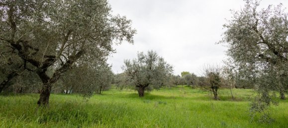 Casa de 5 habitaciónes en Impruneta, Italy No. 226025 43