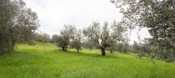 Casa de 5 habitaciónes en Impruneta, Italy No. 226025 12