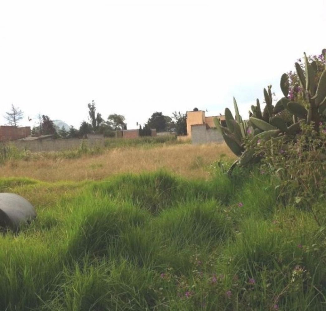 Terreno em San Buenaventura, Mexico N.º 205397