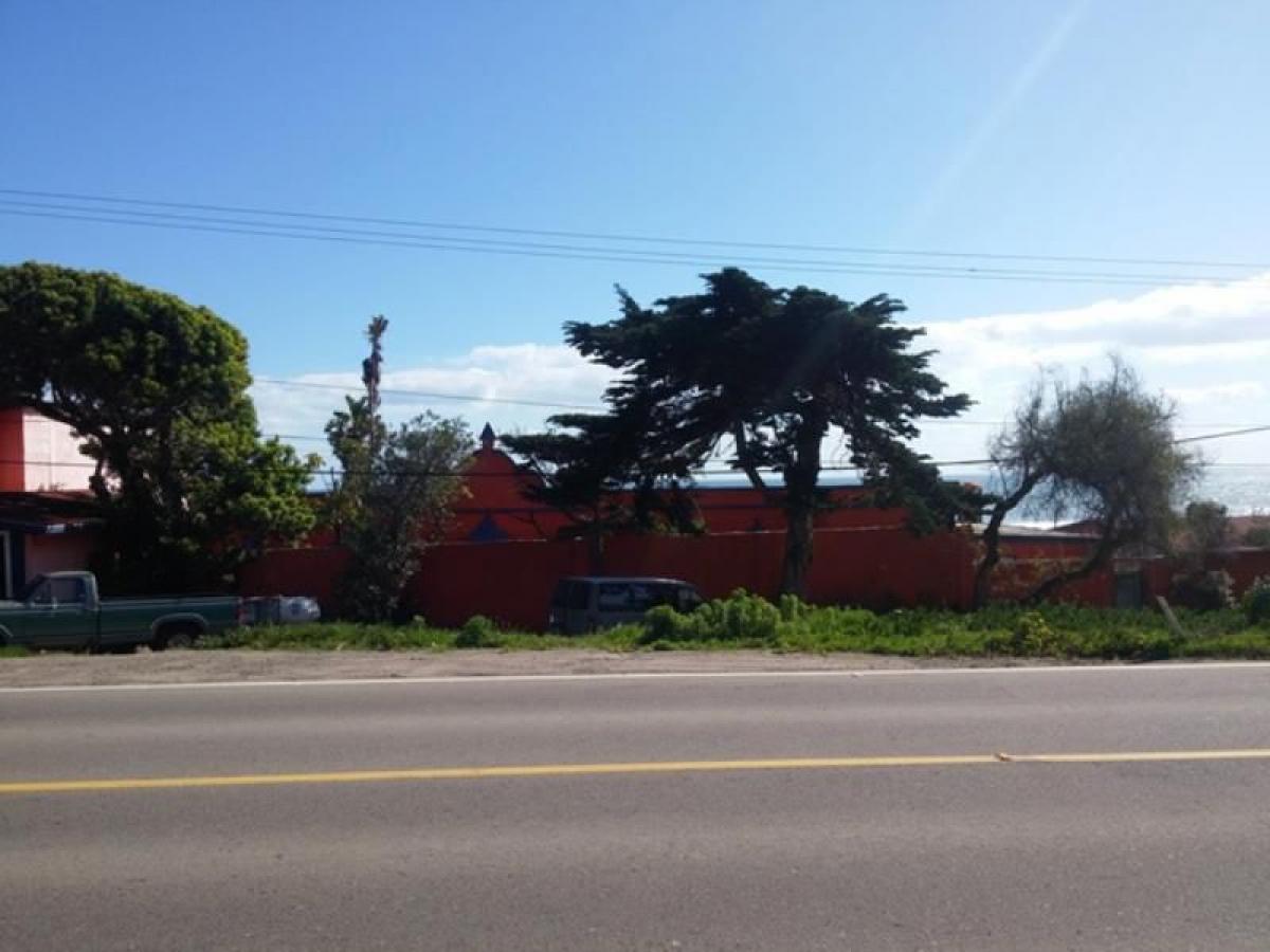 Studio in Baja California, Mexico, Nr. 175486