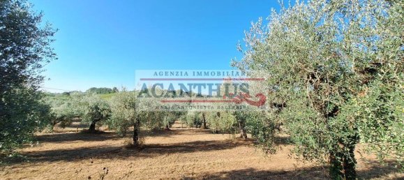 2 Schlafzimmer Haus in Cori, Italy, Nr. 157442 26