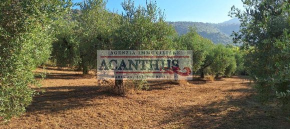 2 Schlafzimmer Haus in Cori, Italy, Nr. 157442 20