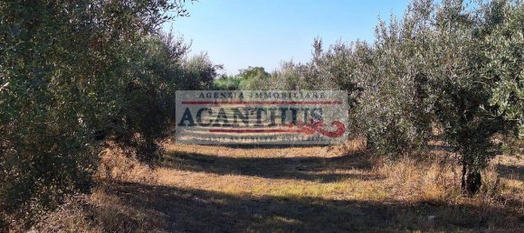 2 Schlafzimmer Haus in Cori, Italy, Nr. 157442 4