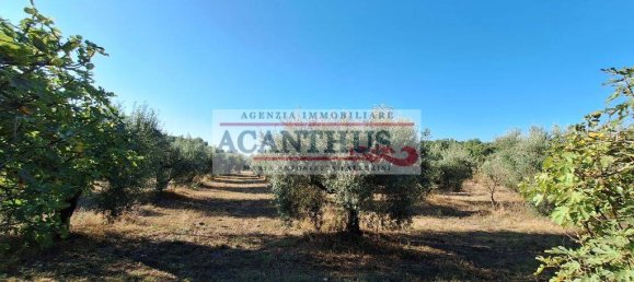 2 Schlafzimmer Haus in Cori, Italy, Nr. 157442 12