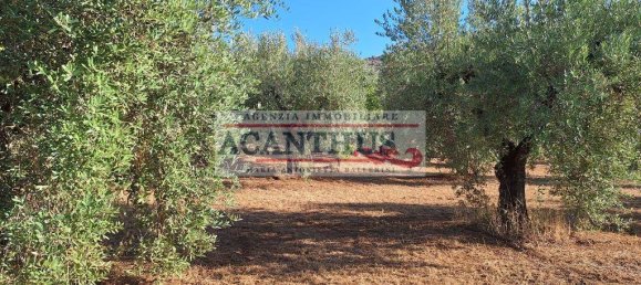 2 Schlafzimmer Haus in Cori, Italy, Nr. 157442 19