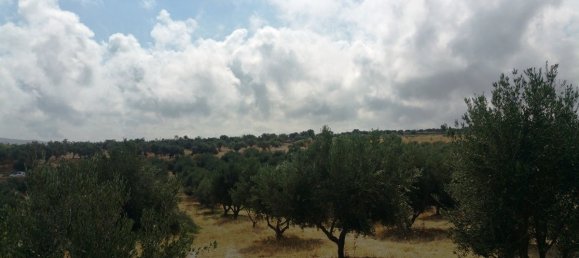 20000m² Hotel in Rethymno, Greece No. 6672 6