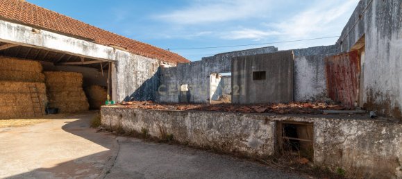 Entrepôt à Alcanena, Portugal 584m² No. 15266 6