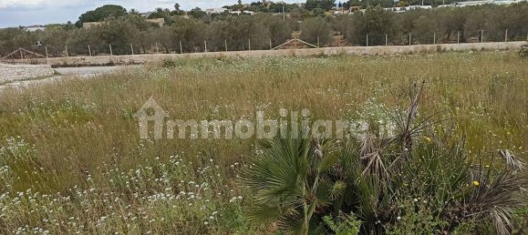  قطعة أرض في Pachino, Italy 8352متر مربع رقم 63364 6