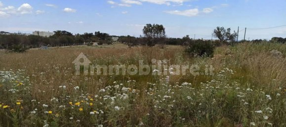  قطعة أرض في Pachino, Italy 8352متر مربع رقم 63364 8