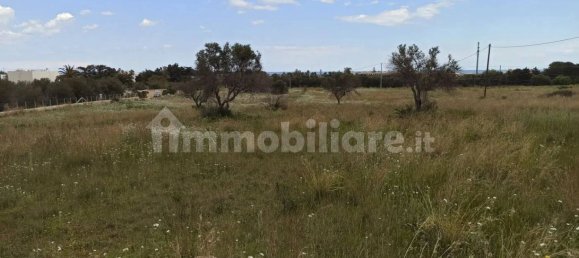  قطعة أرض في Pachino, Italy 8352متر مربع رقم 63364 4