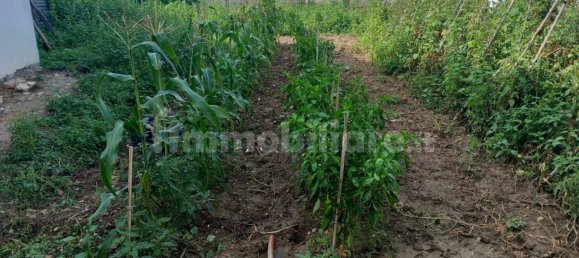 4 bedrooms Villa in Miglianico, Italy No. 351247 13