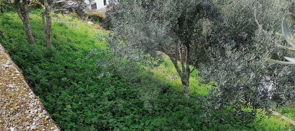 2 Schlafzimmer Haus in Gois, Portugal, Nr. 34201 14