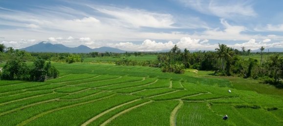 12 Schlafzimmer Villa in Canggu, Indonesia, Nr. 2875 5