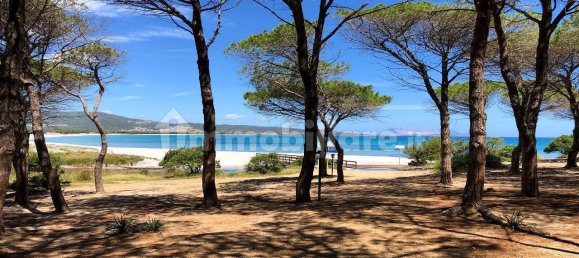 2 Schlafzimmer Wohnung in Budoni, Italy, Nr. 273201 35