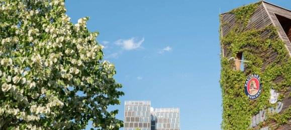 Studio in Frankfurt am Main, Germany No. 231984 15