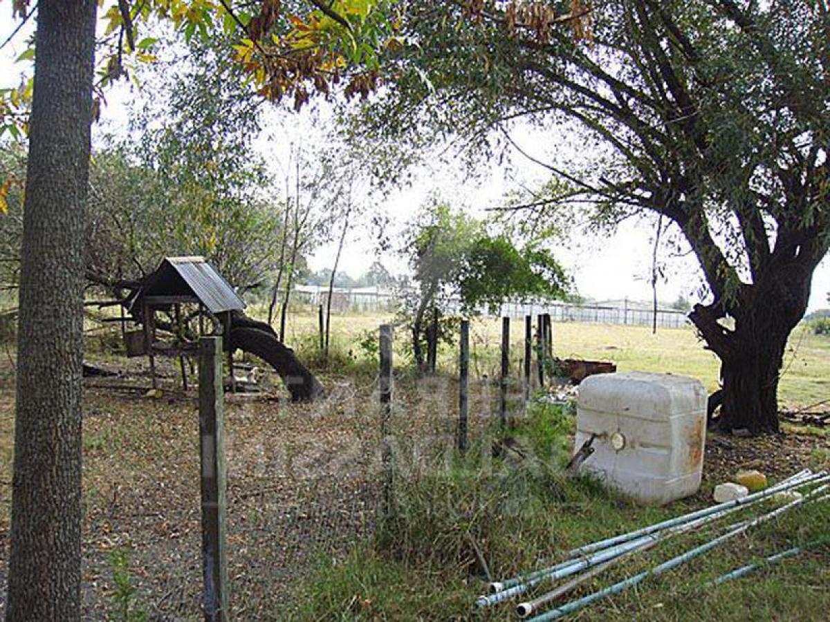  Farm in Esteban Echeverria, Argentina No. 43792