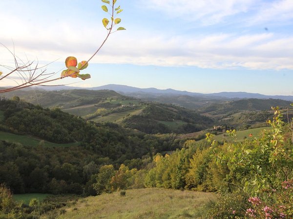 Casa de 10 habitaciónes en Urbino, Italy No. 84316