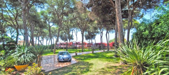 10 bedrooms Villa in Marbella, Spain No. 55280 36