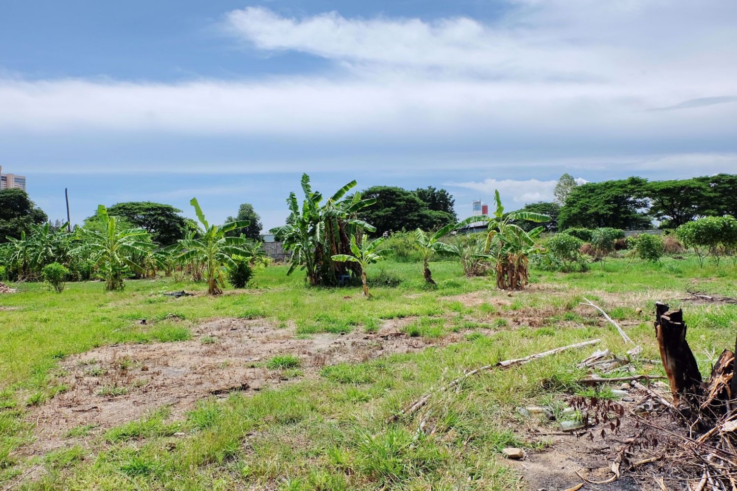  Commercial property in Bang Lamung, Thailand No. 1838