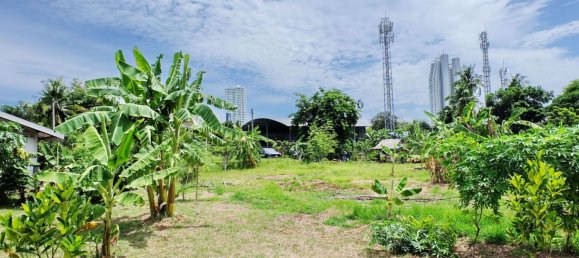  Commercial property in Bang Lamung, Thailand No. 1838 3